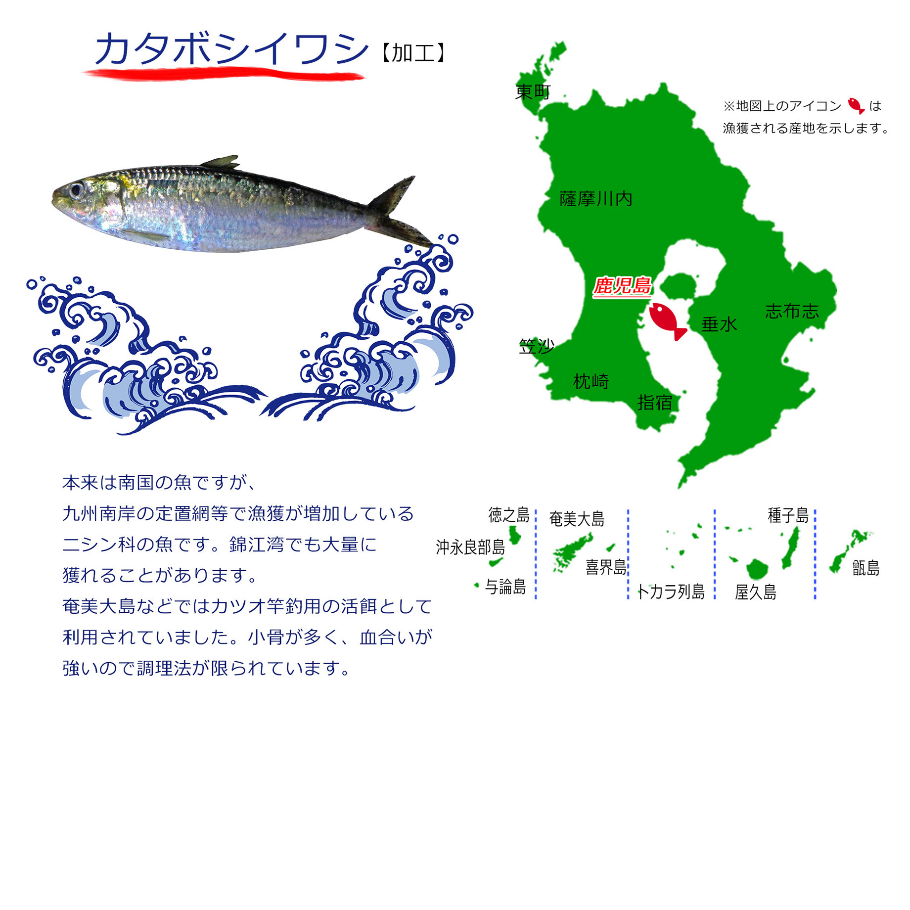 かごしま低利用魚商談会